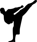 karate2